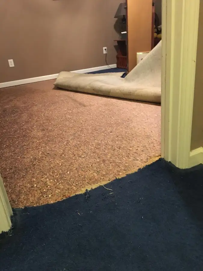 Carpet pad removal revealing water damage during Water Mitigation Services in Buffalo Grove