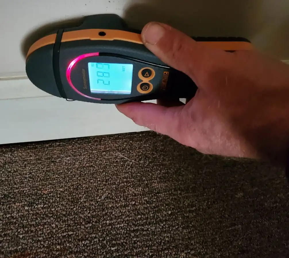 Moisture detection at baseboard during Burst Pipe Cleanup in Buffalo Grove
